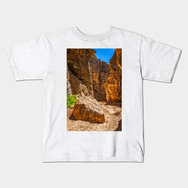 Lick Wash Trail Hike Kids T-Shirt by Gestalt Imagery